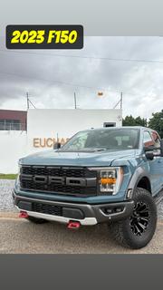 Ford F-150 Raptor 2023 Gray for sale