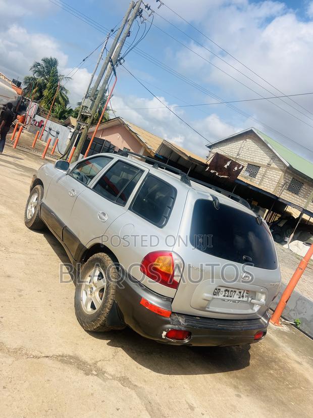 Hyundai Santa Fe 3.5 2003 Silver
