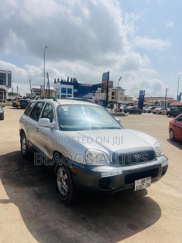 Hyundai Santa Fe 3.5 2003 Silver