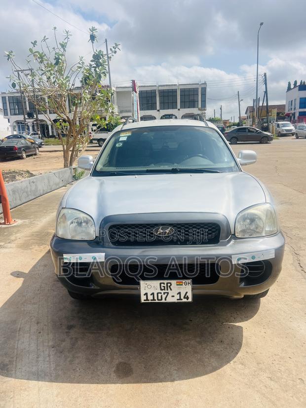 Hyundai Santa Fe 3.5 2003 Silver