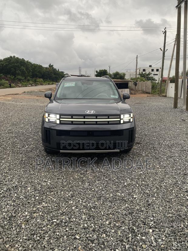 Hyundai Santa Fe 2024 Gray
