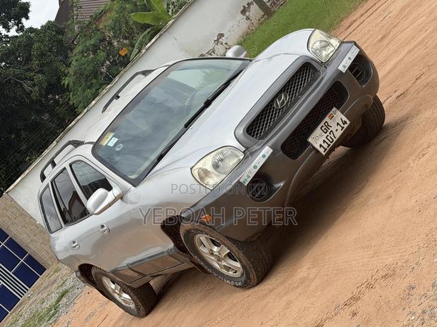 Hyundai Santa Fe 2004 Silver