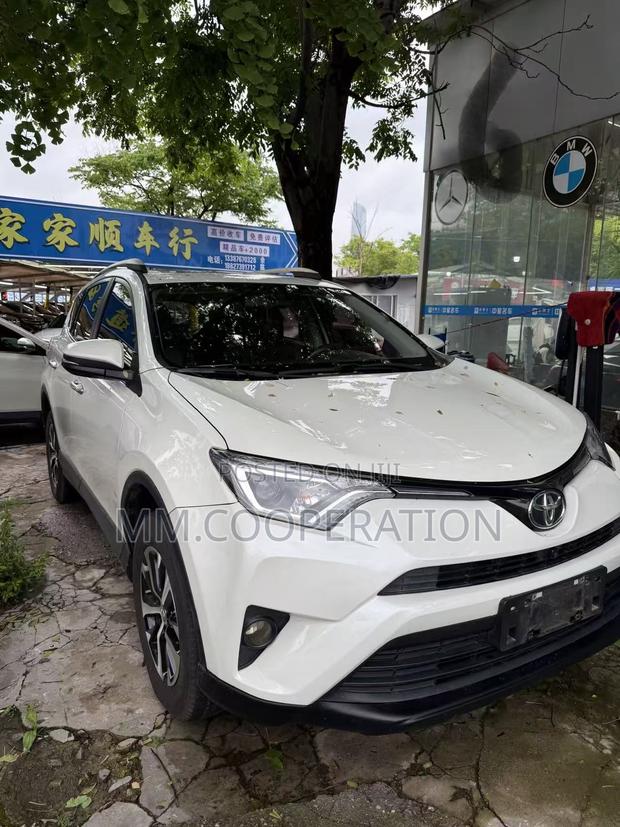 Toyota RAV4 XLE 4dr SUV AWD (2.5L 4cyl 6A) 2018 White