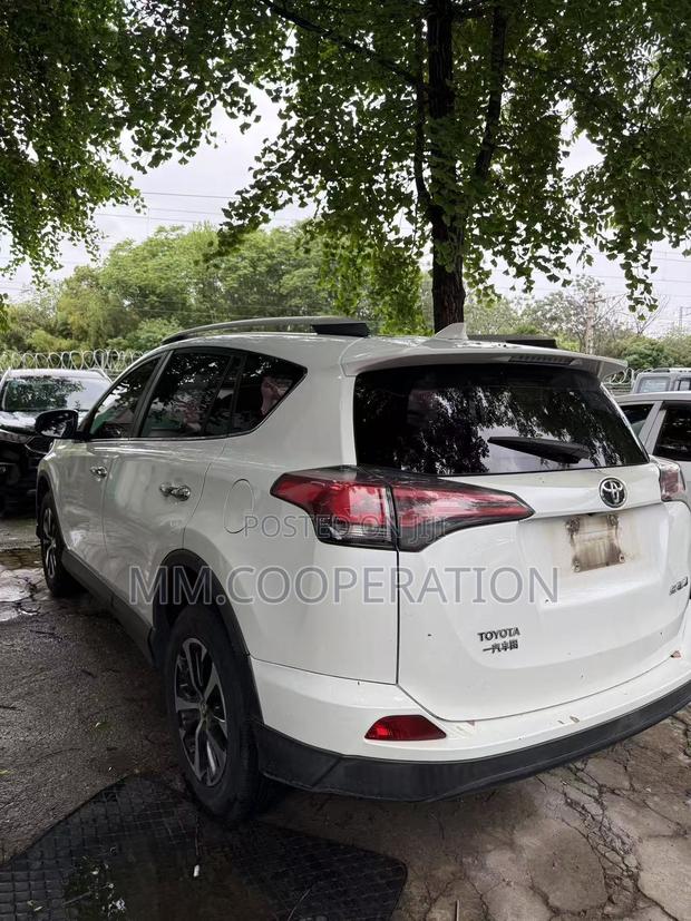 Toyota RAV4 XLE 4dr SUV AWD (2.5L 4cyl 6A) 2018 White