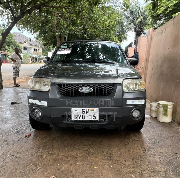 Ford Escape 2005 Gray