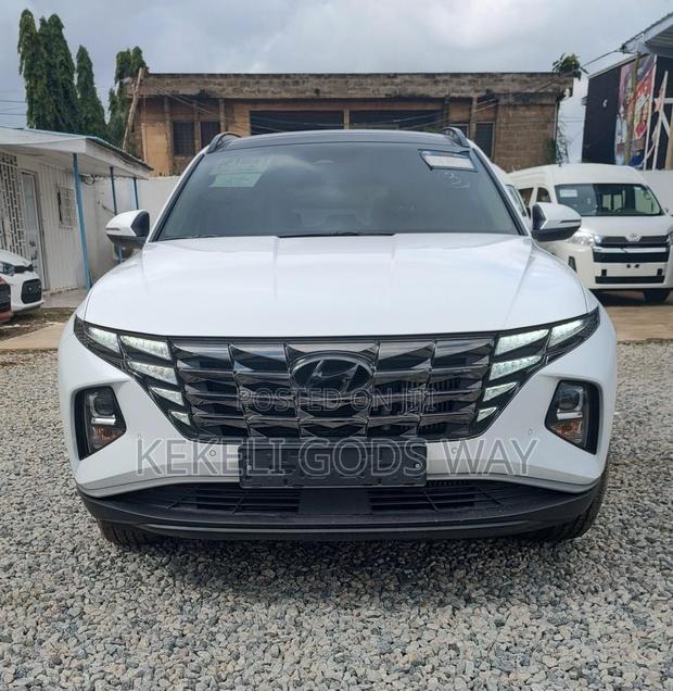 Hyundai Tucson Limited 2022 White