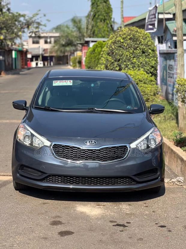 Kia Forte EX Sedan 2015 Gray