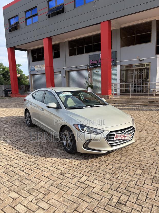 Hyundai Elantra 2017 Gray