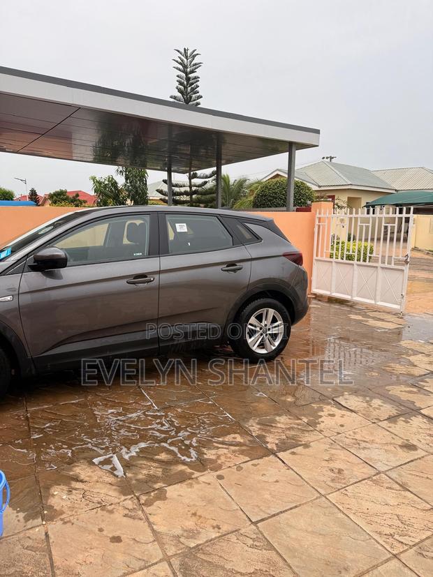 Opel Grandland X 2018 Gray