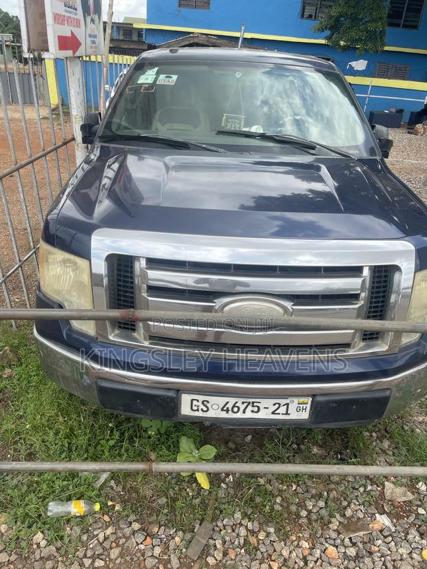 Ford F-150 2011 Gray