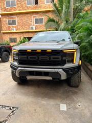 Ford F-150 Raptor 2024 Gray for sale
