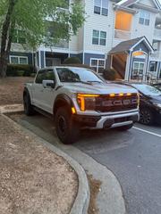 Ford F-150 Raptor 2024 Gray for sale