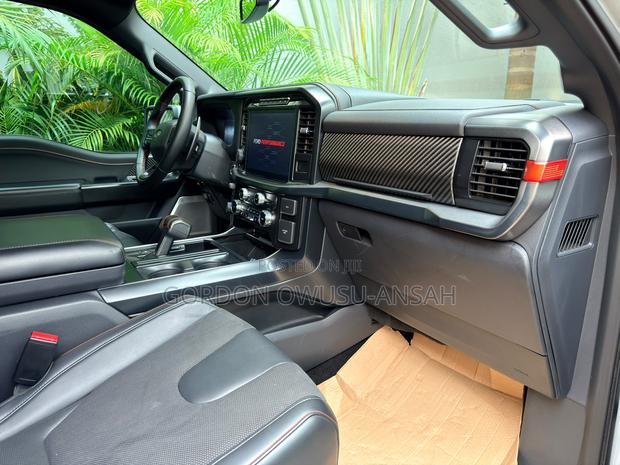 Ford F-150 Raptor 2024 Gray