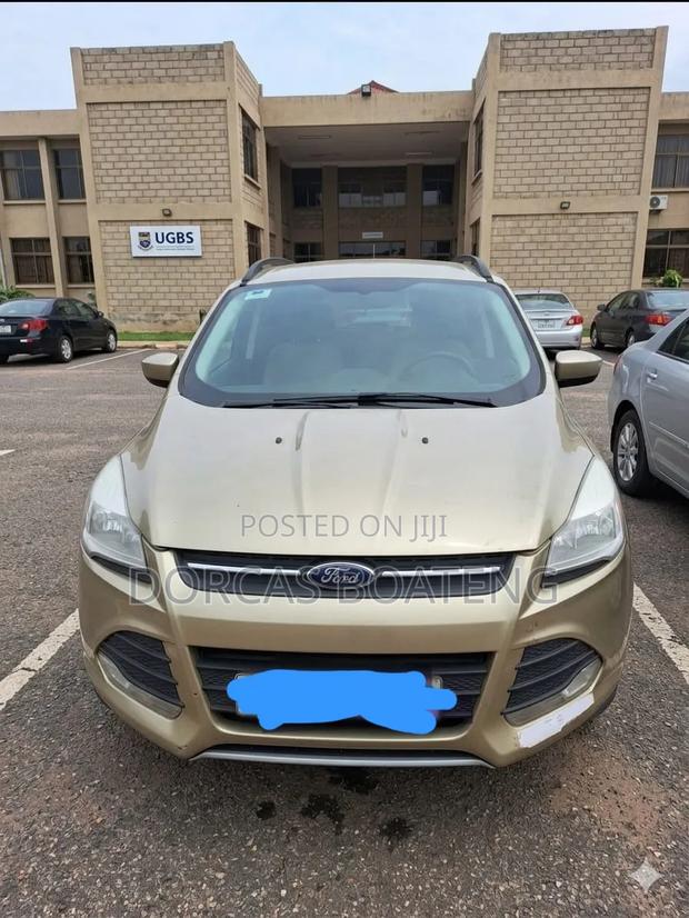 Ford Escape SE 4dr SUV (1.6L 4cyl Turbo 6A) 2014 Gold
