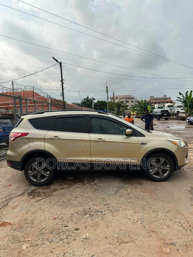 Ford Escape SE 4dr SUV (1.6L 4cyl Turbo 6A) 2014 Gold