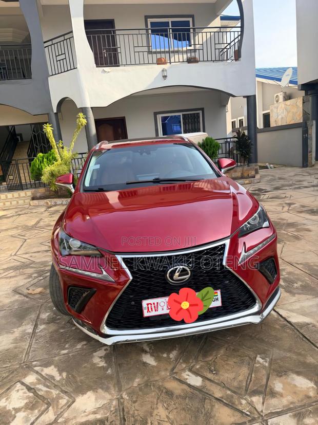 Lexus NX 300 AWD 2018 Red