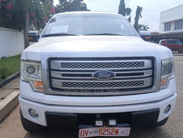 Ford F-150 Platinum 4dr SuperCrew 4WD 5.5 ft. SB (5.0L 8cyl 6A) 2015 White