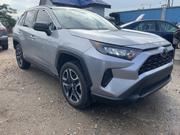 Toyota RAV4 2019 Gray for sale