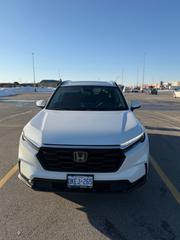 New Honda CR-V 2026 White for sale