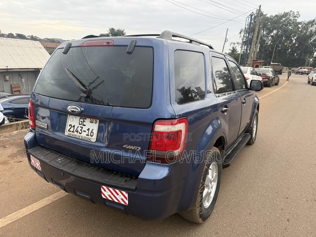 Ford Escape 2010 Blue