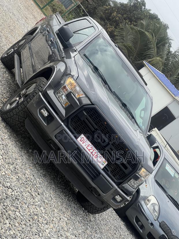 Ford F-150 2017 Gray