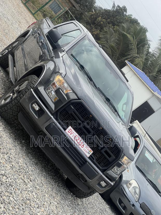 Ford F-150 2017 Gray