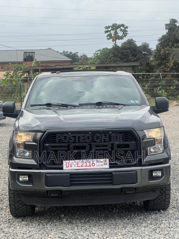 Ford F-150 2017 Gray