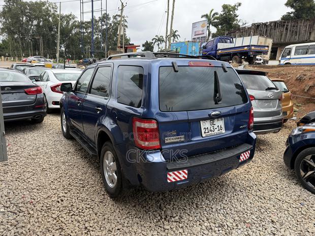 Ford Escape 2010 Blue