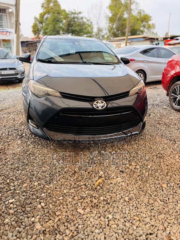 Toyota Corolla LE Eco Plus 4dr Sedan (1.8L 4cyl CVT) 2016 Gray