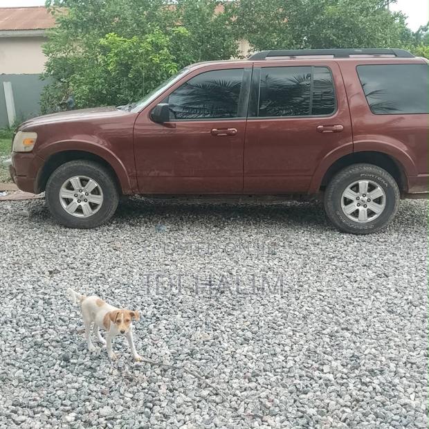 Ford Explorer XLT 4dr 4x2 (4.0L 6cyl 5A) 2010 Brown