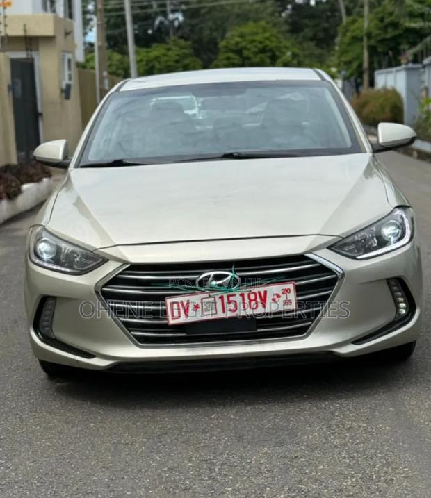 Hyundai Elantra 2017 Gray