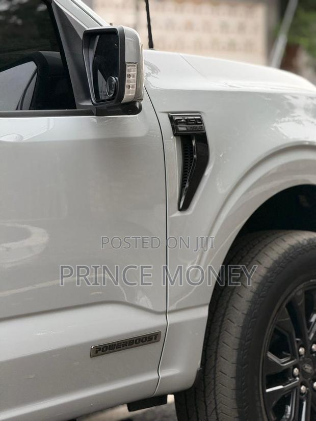 Ford F-150 2025 Gray