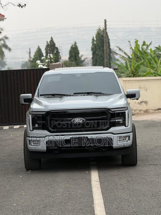 Ford F-150 2025 Gray