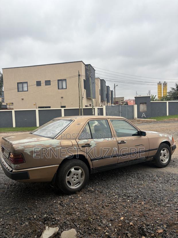 Mercedes-Benz W124 1996 Gray
