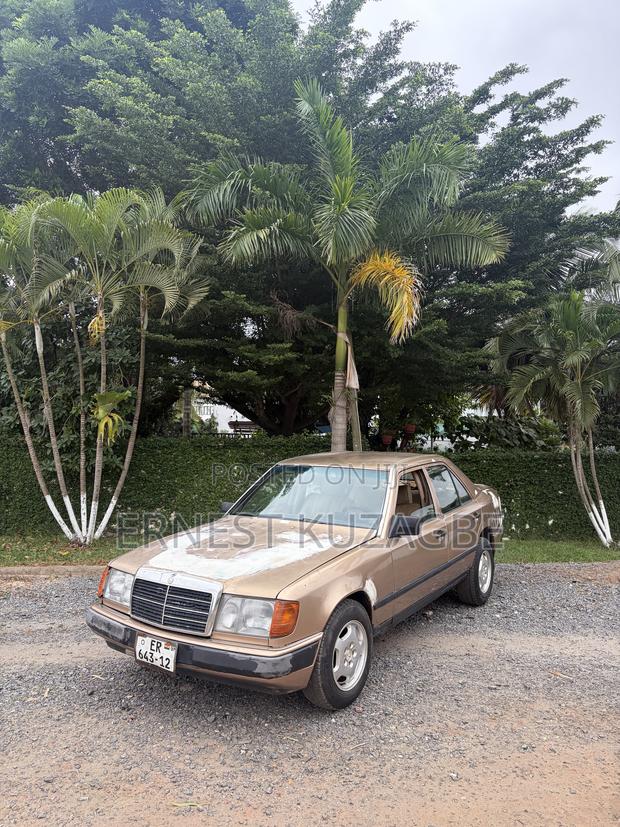 Mercedes-Benz W124 1996 Gray