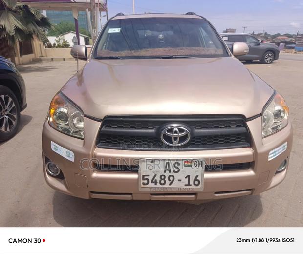Toyota RAV4 2008 Brown