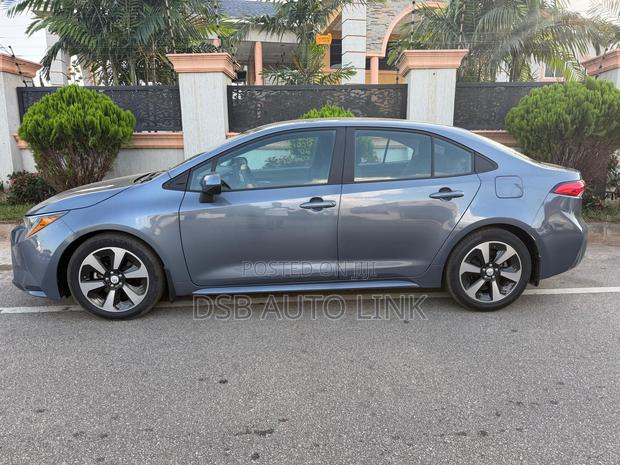 Toyota Corolla LE 2020 Gray