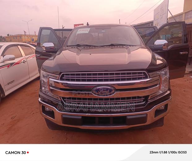 Ford F-150 2019 Brown
