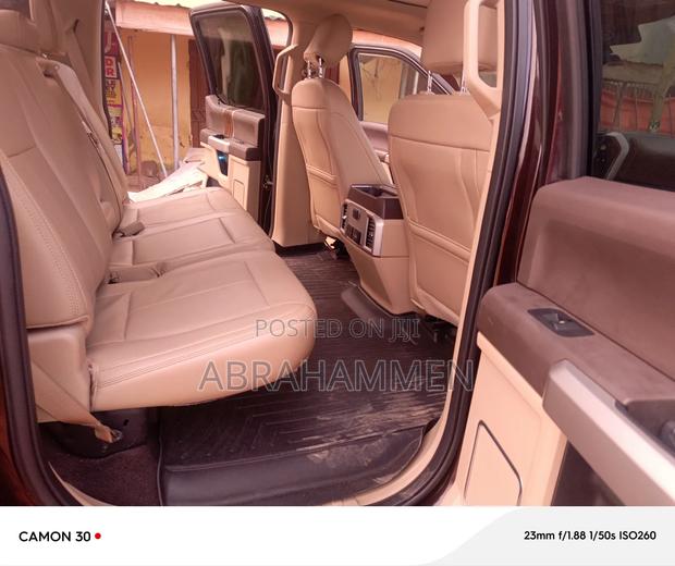 Ford F-150 2019 Brown