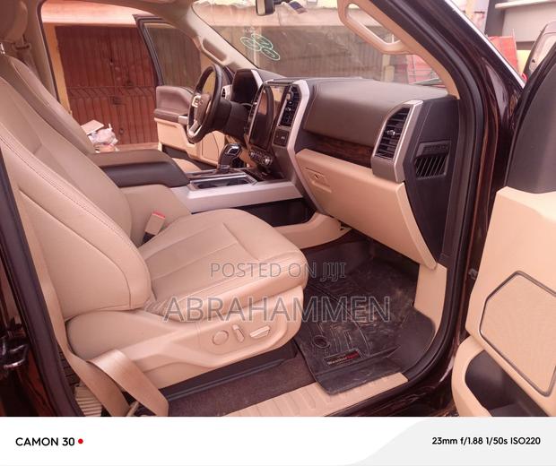 Ford F-150 2019 Brown