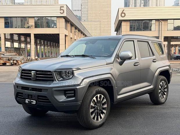 Car 2024 Gray