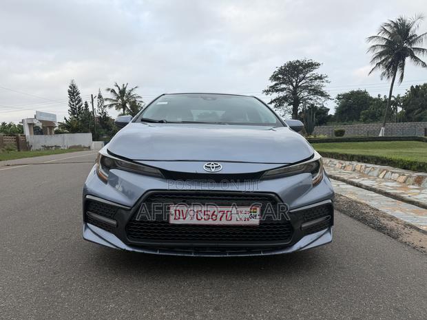 Toyota Corolla LE 2020 Gray