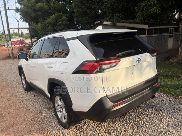 Toyota RAV4 LE AWD 2019 Gray