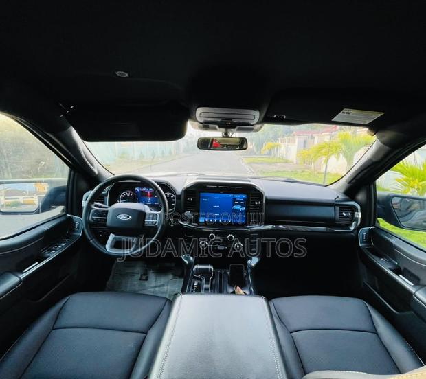 Ford F-150 2021 Gray