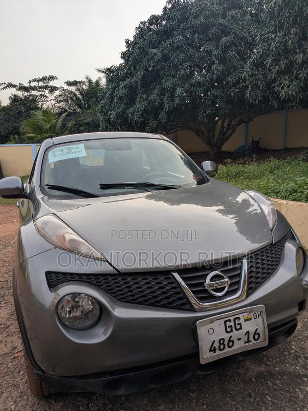 Nissan Juke 2013 Gray