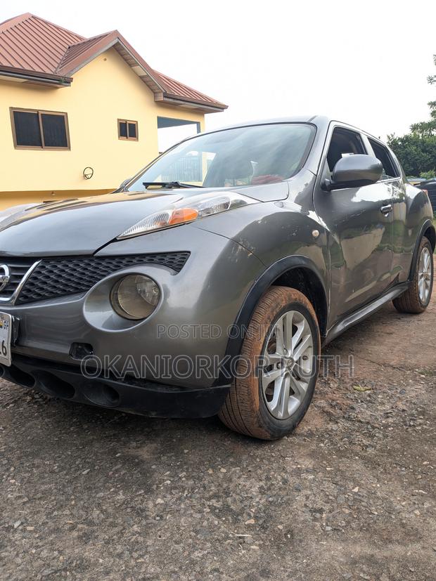 Nissan Juke 2013 Gray