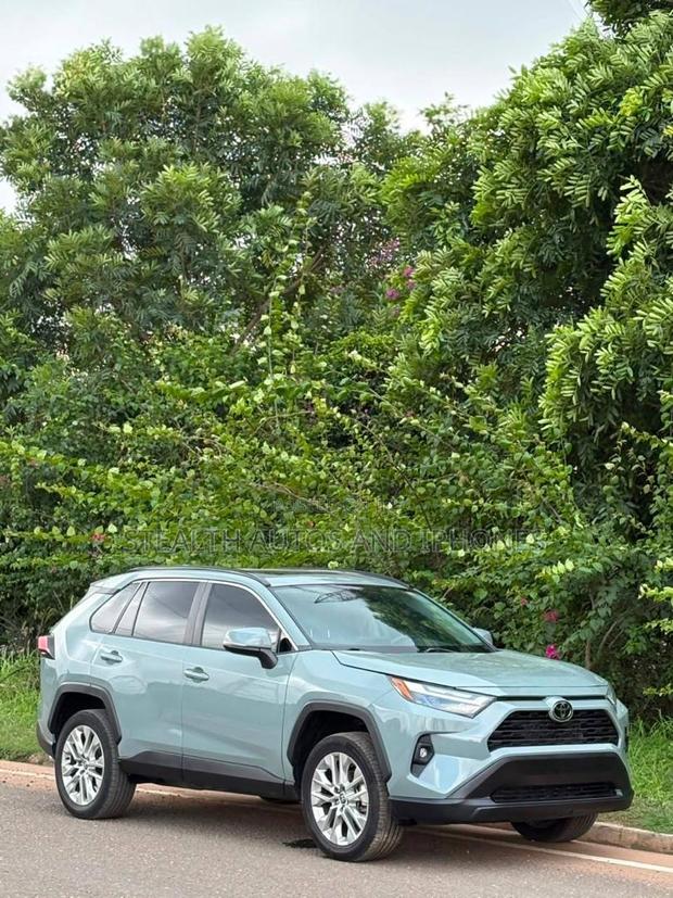 Toyota RAV4 XLE Premium AWD 2023 Gray