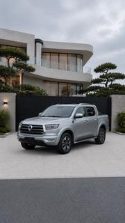 Great Wall Pao 2020 Gray for sale