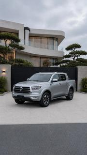 Great Wall Pao 2020 Gray for sale