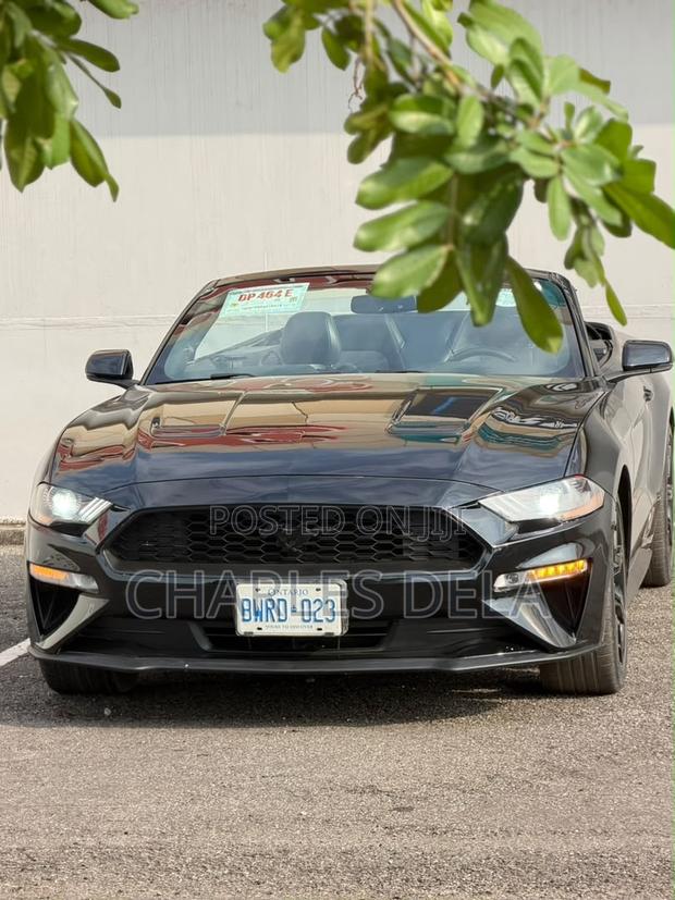 Ford Mustang EcoBoost Convertible 2019 Black